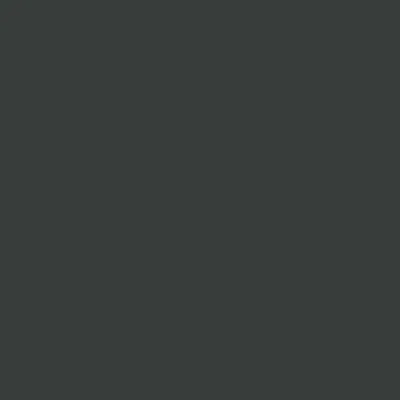 Выкраска CleanTouch — Black Green, RAL Classic 6015