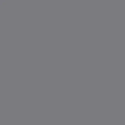 Выкраска Premier Matt — Classic Grey, RAL Design 300 50 05